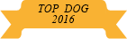 top-dog-2016