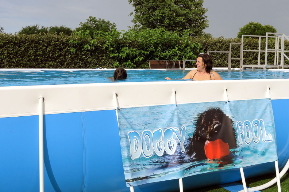 piscina-x-cani