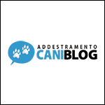 Addestramento Cani Blog